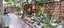ao ca.webp