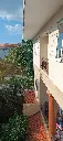 anh truoc nha 1 - Copy.webp