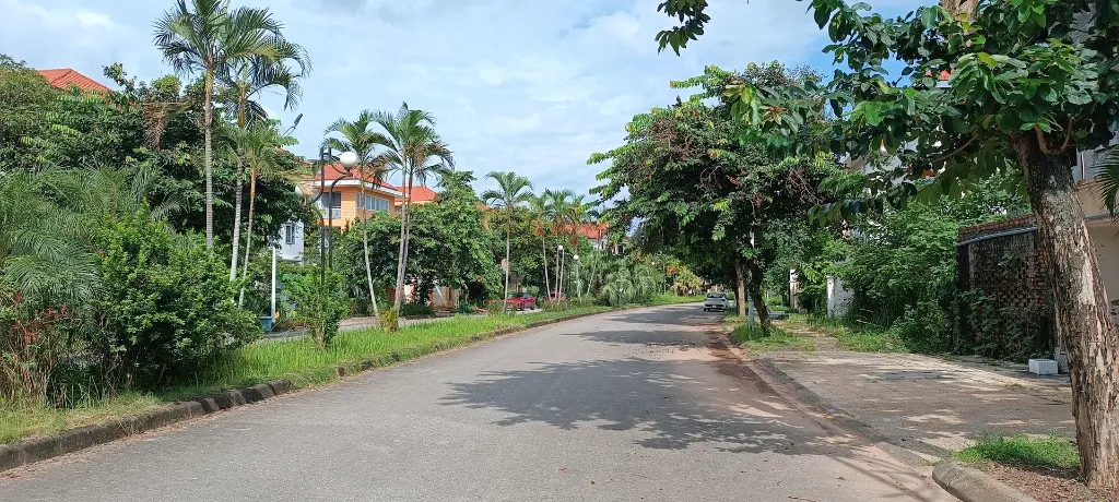 ngoai rao 5.webp